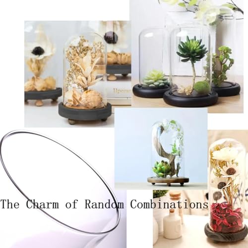 Glass Cloche Bell Jar with Wooden Base,Clear Glass Display Dome Cover,khaki
