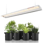 Spider Farmer SF600 LED Grow Light, 72 Watt Plant Growing Lamp for 2x4 ft