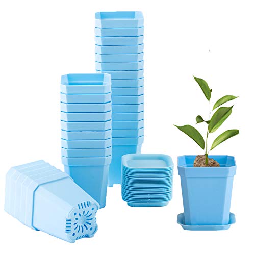 30Pcs 3" Plants Nursery Pot with 30 Saucers Blue, Square Planting Pots - color: Blue
