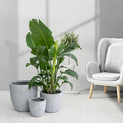 Kante Set of 3 Blue Gray Concrete Bowl Planters 18" 14" 10" Dia - color: Gray, size: 18"d + 14"d + 10"d