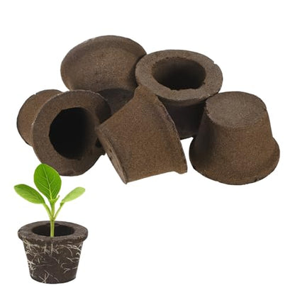 M METERXITY 5-Pack Grow Sponges, 3.5x2.3x2.4 Inch Replacement Root Growth Sponges Seed Pods for Plant Rooting/Seed Germination/Hydroponic Gardens System Supplies, Starter Plug for Seeds - size: 3.5x2.3x2.4 Inch