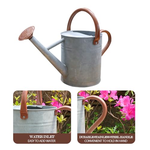 Metal Watering Can 1 Gallon for Outdoor Garden Plants, Zinc - color: Zinc