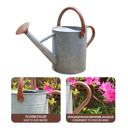 Metal Watering Can 1 Gallon for Outdoor Garden Plants, Zinc - color: Zinc