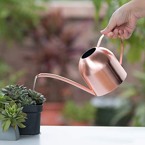 Rose Gold Watering Can for Indoor Plants, 450ml/15oz - size: Rose Gold 15 oz