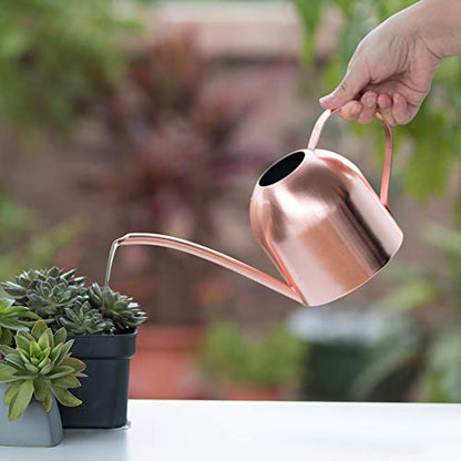 Rose Gold Watering Can for Indoor Plants, 450ml/15oz - size: Rose Gold 15 oz