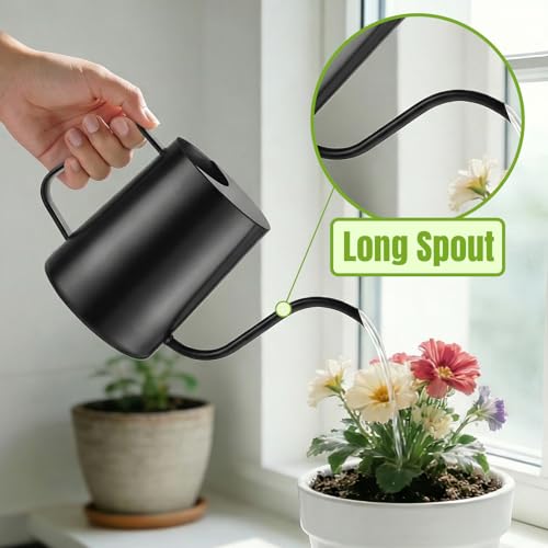 Watering Can Indoor Plants, 34oz Stainless Steel Long Spout, Black - color: Black
