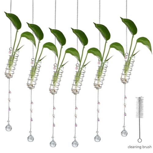 6Pcs Hanging Plant Propagation Station with Crystal Ball Prisms Suncatcher - color: Silver