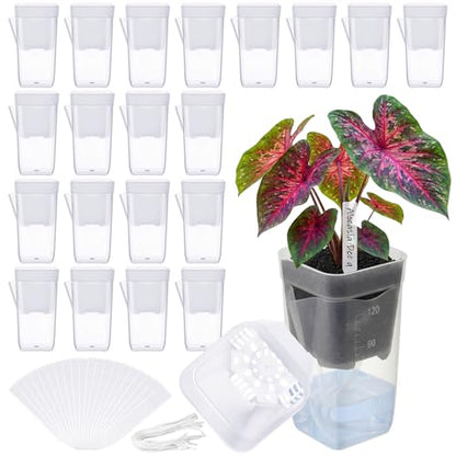 LemonRoad 20 Pack 2" Small Self Watering Pots for Indoor Plants - size: 2"