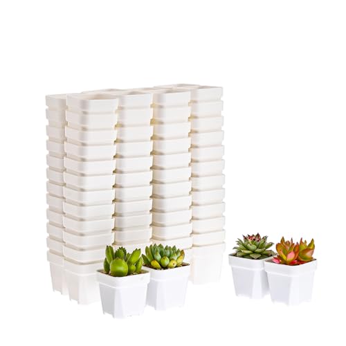 100 Pack 2.55 Inch Small White Plastic Square Nursery and Seedling Pot with Drain Hole for Germination, Cactus, Herb, Succulent - color: White, size: 2.55 inch