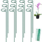 FEED GARDEN 24 Inch 12 Pack Plant Support Stakes, Metal Garden Flower Stakes and Supports for Outdoor Plants, Plant Stem Support with 24 Twist Ties for Amaryllis Lily Rose Peony Tomatoes Gladiolus - size: 24 Inch