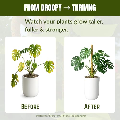 Bendable Moss Pole 2-Pack for Monstera & Climbing Plants