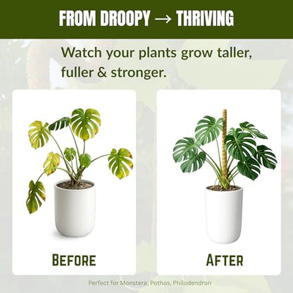 Bendable Moss Pole 2-Pack for Monstera & Climbing Plants