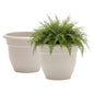 Bloem Ariana 16" Plastic Self-Watering Planter, Vanilla Bean, 2-Pack - color: Vanilla Bean, size: 16" (Pack of 2)
