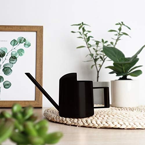 Mini Watering Can, 10oz/300ml Stainless Steel Long Spout Small Watering Can for Indoor Plants Succulents, Herbs (Black) - color: Black