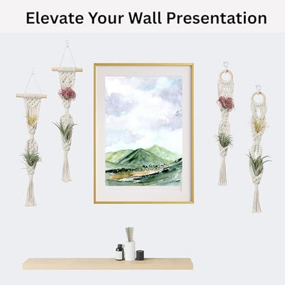 2 Tier 4 Pack Air Plant Holder, Air Plant Wall Hanger - color: White, size: 2-Tier