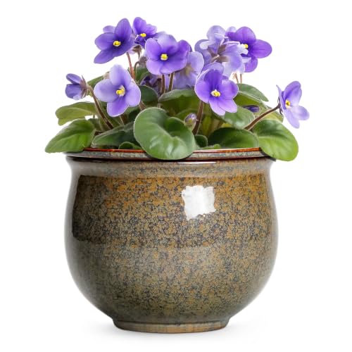 Ceramic Self Watering Pots, 8 Inch Ceramic Planter, Yellowish Brown - color: Yellowish Brown, size: 8 Inch