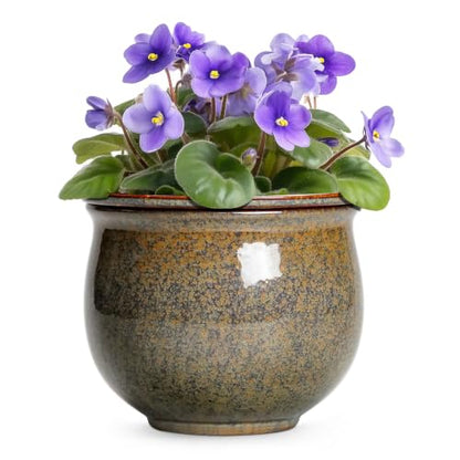 Ceramic Self Watering Pots, 8 Inch Ceramic Planter, Yellowish Brown - color: Yellowish Brown, size: 8 Inch