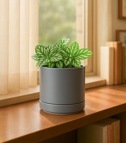 D'vine Dev 4-Pack Ceramic Pots with Saucers, Grey, 4.7 in, 94-X-B-3 - color: Gray, size: 4.7 Inch