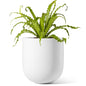 LE TAUCI 6 Inch Ceramic Plant Pot, Small Indoor Planter, White - color: White, size: 6 Inch