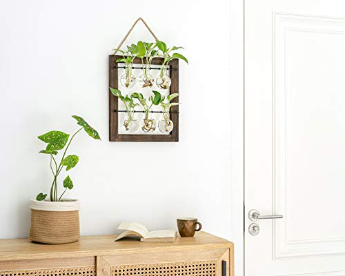 Mkono Plant Propagation Station, Wall Hanging 2-Layer Glass Terrarium Vases