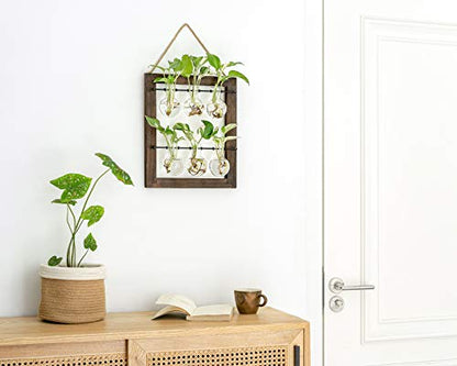 Mkono Plant Propagation Station, Wall Hanging 2-Layer Glass Terrarium Vases