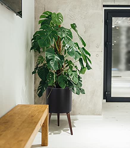D'vine Dev 14 Inch Planter Pot with Wood Stand, Black, 88-O-D-2 - color: Matte Black, size: X-Large