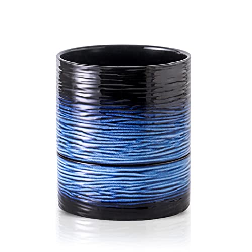 Nihow Ceramic Self Watering Plant Pot for Indoor Plants, 6 Inch,Blue - color: Black & Blue, size: 6" Self Watering