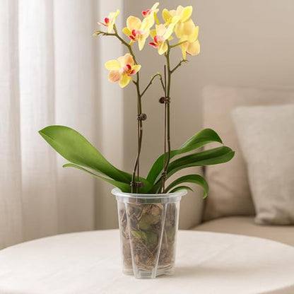 Orchid Pot 6 Pack 4.7 Inch Clear Nursery Pots for Plants with Drainage Hole - size: 4.7 Inch