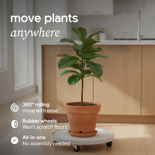 Lettuce Grow 24in Plant Dolly with Wheels | Rolling Base for Planters
