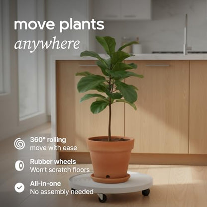 Lettuce Grow 24in Plant Dolly with Wheels | Rolling Base for Planters