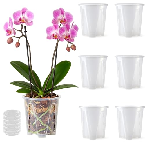 Orchid Pot 6 Pack 6.2 Inch Clear Nursery Pots for Plants with Drainage Hole - size: 6.2 Inch