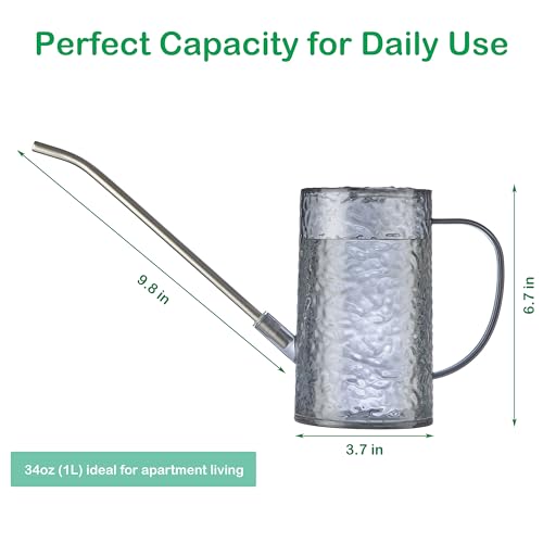 Long Spout Watering Can Indoor Plants, Small Watering Cans for House Plants, Flowers, Succulents 34oz - color: Gray