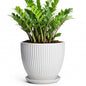 10 Inch Planter, Ceramic Plant Pots with Saucer, White - color: White, size: 10 Inch