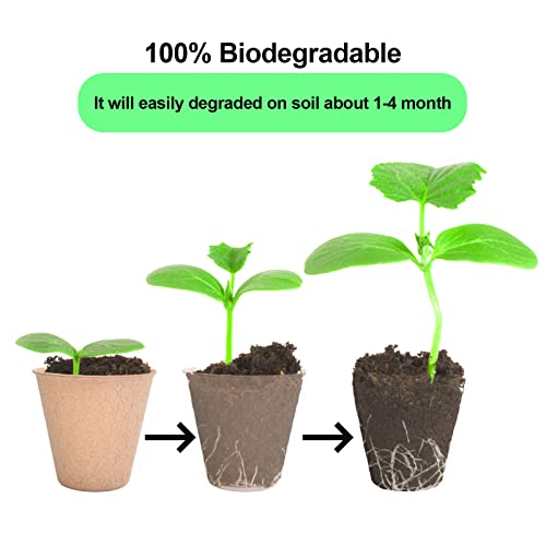 JERIA 50-Pack 3.15 Inch Peat Pots for Seedling with 50 Pcs Plant Labels,Outdoor Garden Germination Nursery Pots,Biodegradable Seed Starter Pots Kits - style: Garden
