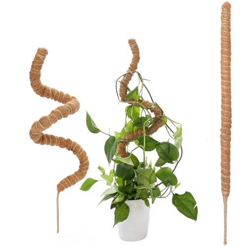 63" Moss Pole Monstera Plant Support Plant Stakes for Indoor Plants