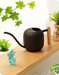 Baffect Watering Can Indoor Plants with Long Spout, 1.2L / 41oz (Black) - color: Black