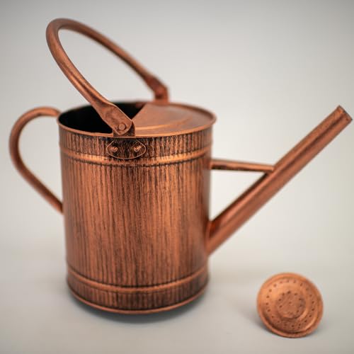 1 Gallon Copper Metal Watering Can, Removable Spout - color: Copper, size: 1 Gallon