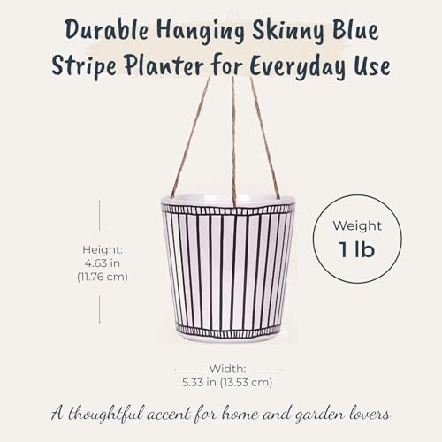 Hanging Skinny Blue Stripe 5'' Flower Pot, Multi Color