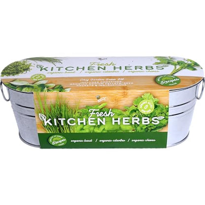 Buzzy Seeds Kitchen Herb Grow Kit, Metal Planter, Basil Cilantro Chives