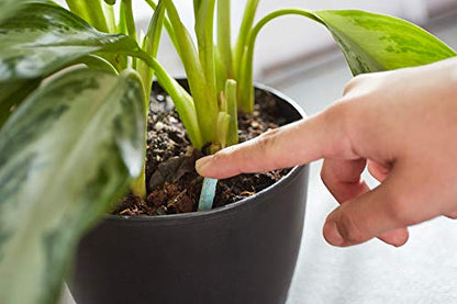 Miracle-Gro Indoor Plant Food Spikes, 48 Spikes (2-Pack) - size: 2 Pack, style: 48 Spikes
