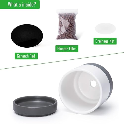 D'vine Dev 4-Pack Ceramic Pots with Saucers, White/Grey, 4.7 in, 94-X-B-6 - color: White/Speckled Grey, size: 4.7 Inch