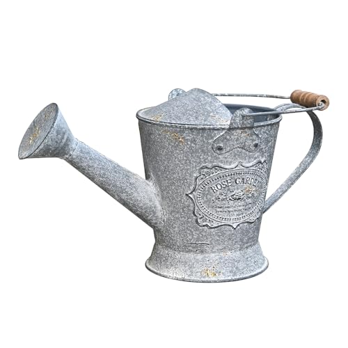 Vintage Metal Watering Can with Wooden Handle, Watering Can for Indoor/Outdoor Plants, Shabby Chic Decor for Home Balcony Courtyard Garden Gray - color: Gray
