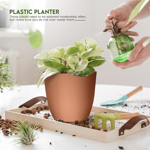 Plant Pots Indoor with Drainage, 5 Pack Multi-Size Planters Set, Terracotta - color: Terracotta, size: Pack of 5