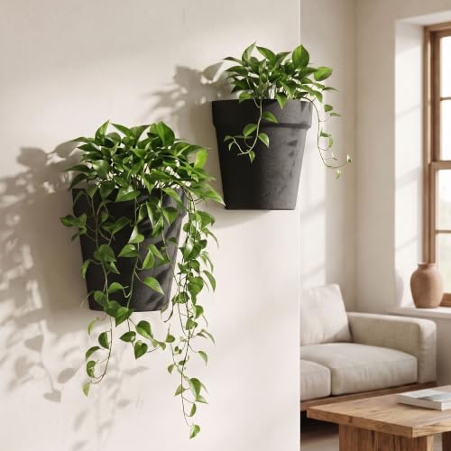 Asnext 2 Pack Indoor Wall Planter, 7.5 Inch Wall Hanging Planter, Black - color: Black