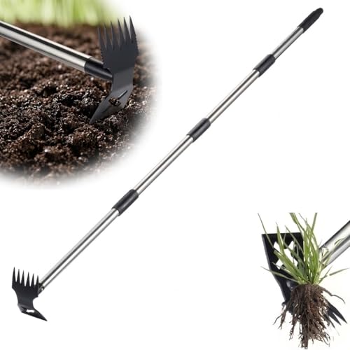 Weed Puller Tool with Long Handle, 2 in 1 Weed Rake and Garden Hoe, Heavy Duty Steel Manual Weeder for Yard, Lawn and Garden, 61 Inch(WP-01)