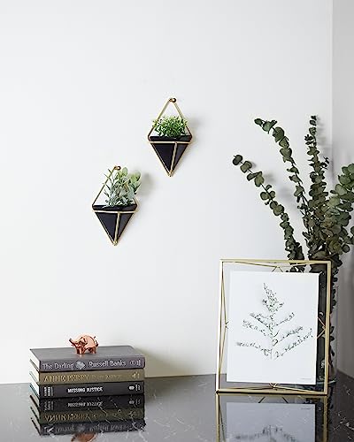 Umbra Trigg Hanging Planter for Small Plants, Set of 2, Small, Black/Brass - color: Black/Brass, size: Small