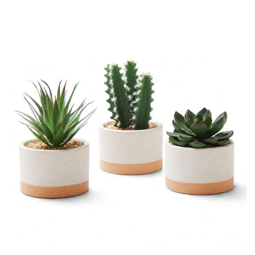 Artificial Succulent Cactus Plant Set Ceramic Flower Pot Set of 3 for Home, Office, Desk, Bedroom, Living Room Decoration