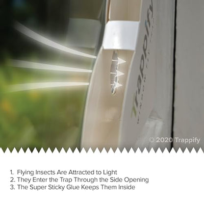 Trappify Window Corner Fly Trap | Fruit Fly Traps for Indoors | 12 Pack