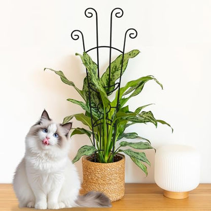 Coomin 32.6in Monstera Plant Support Trellis for Indoor Plants, 2P - size: 32in,rectangular/2p