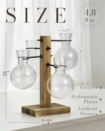 Plant Propagation Stations with Wood Stand, 4 Vases Bulb Shape - color: Bulb